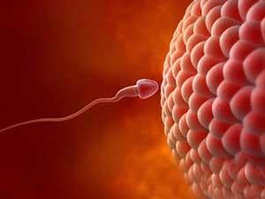 睾丸一高一低？警惕这些疾病！